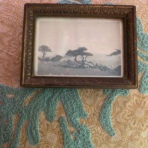 Antique photo art print of pacific coast, framed